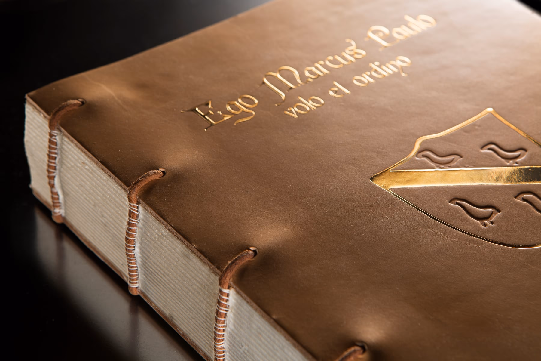 The binding of the facsimile dedicated to the will of Marco Polo, with the title stamped in gold.